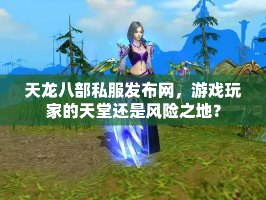 天龙八部私服发布网，游戏玩家的天堂还是风险之地？