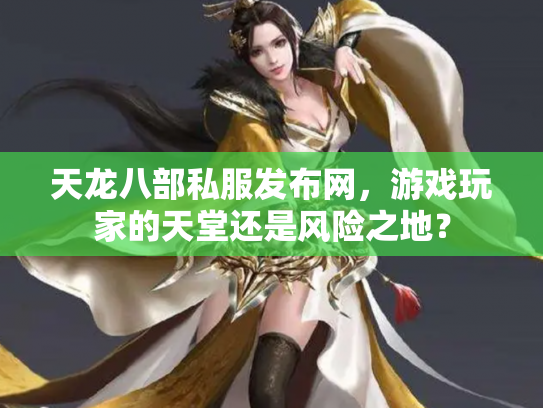 天龙八部私服发布网，游戏玩家的天堂还是风险之地？