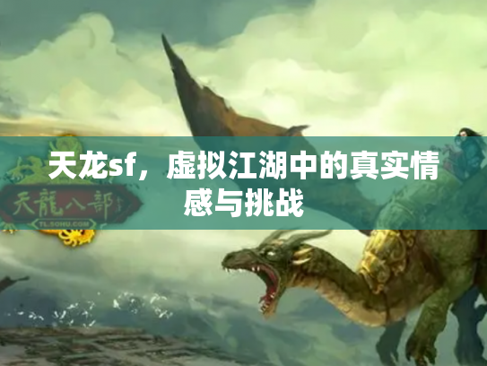 天龙sf，虚拟江湖中的真实情感与挑战