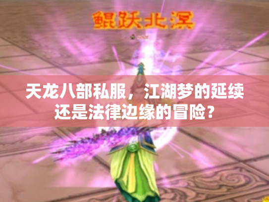 天龙八部私服，江湖梦的延续还是法律边缘的冒险？