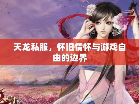 天龙私服，怀旧情怀与游戏自由的边界