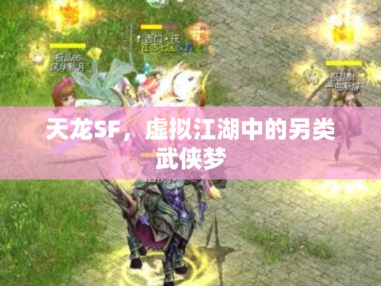 天龙SF，虚拟江湖中的另类武侠梦