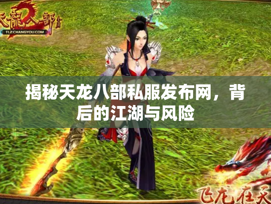 揭秘天龙八部私服发布网，背后的江湖与风险