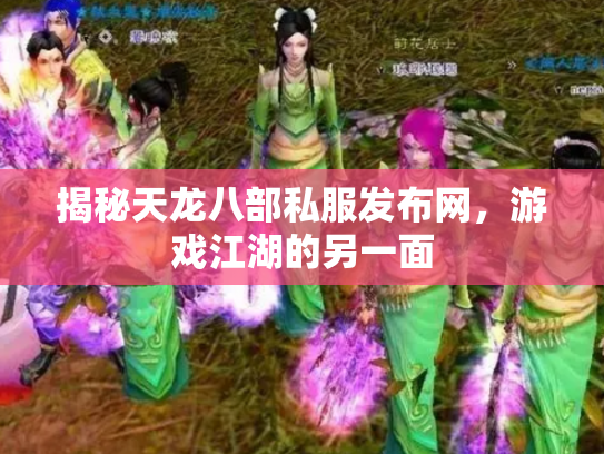 揭秘天龙八部私服发布网，游戏江湖的另一面