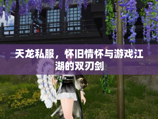 天龙私服，怀旧情怀与游戏江湖的双刃剑