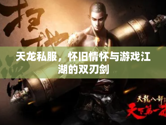 天龙私服，怀旧情怀与游戏江湖的双刃剑