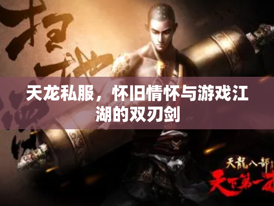 天龙私服，怀旧情怀与游戏江湖的双刃剑