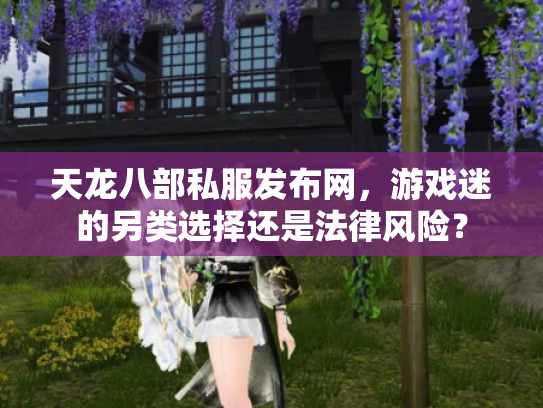 天龙八部私服发布网，游戏迷的另类选择还是法律风险？