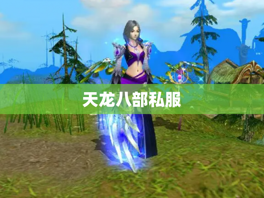 天龙八部私服