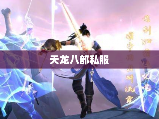 天龙八部私服