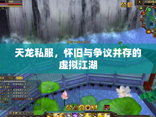 天龙私服，怀旧与争议并存的虚拟江湖