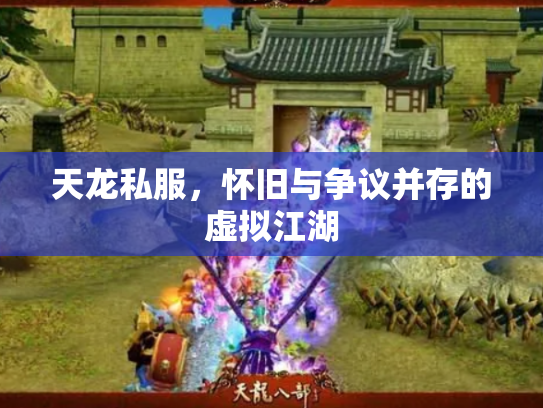 天龙私服，怀旧与争议并存的虚拟江湖