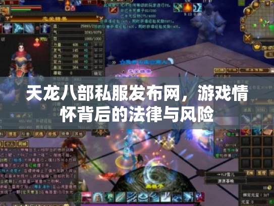 天龙八部私服发布网，游戏情怀背后的法律与风险