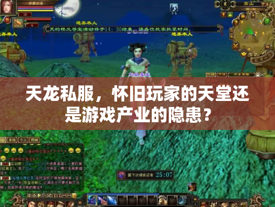 天龙私服，怀旧玩家的天堂还是游戏产业的隐患？