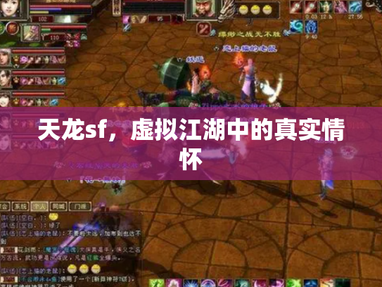 天龙sf，虚拟江湖中的真实情怀