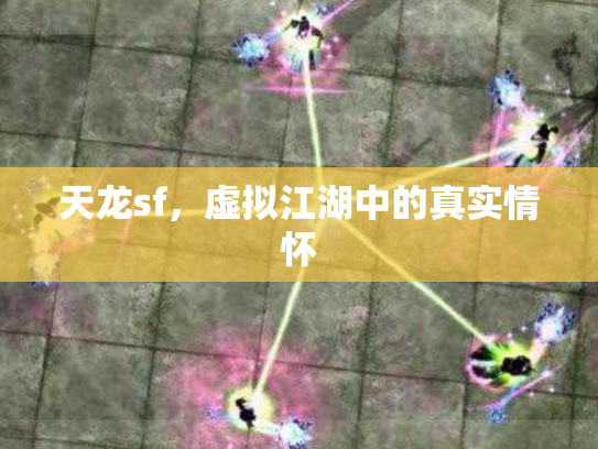 天龙sf，虚拟江湖中的真实情怀