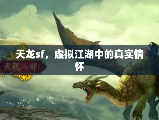 天龙sf，虚拟江湖中的真实情怀