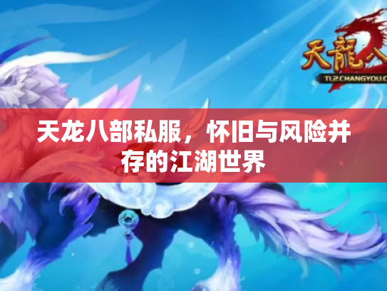 天龙八部私服，怀旧与风险并存的江湖世界
