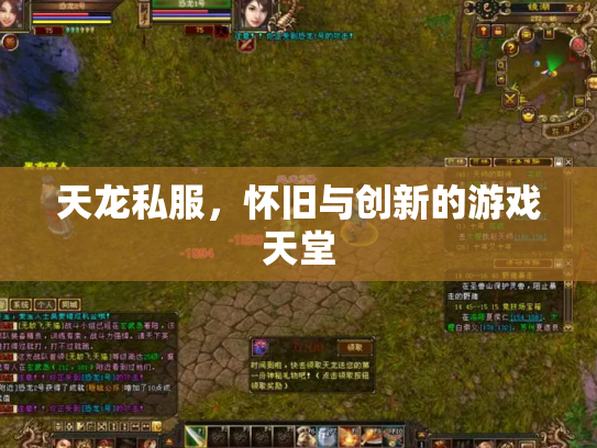 天龙私服，怀旧与创新的游戏天堂