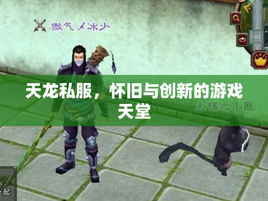 天龙私服，怀旧与创新的游戏天堂