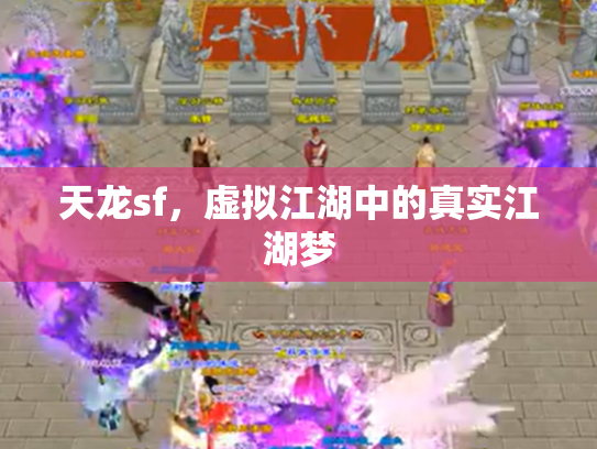 天龙sf，虚拟江湖中的真实江湖梦
