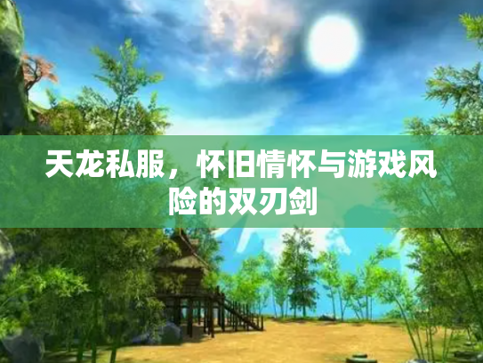 天龙私服，怀旧情怀与游戏风险的双刃剑