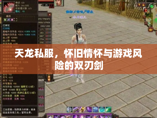 天龙私服，怀旧情怀与游戏风险的双刃剑