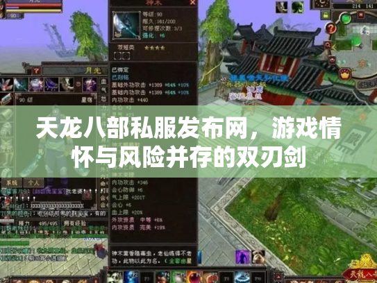 天龙八部私服发布网，游戏情怀与风险并存的双刃剑