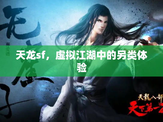 天龙sf，虚拟江湖中的另类体验