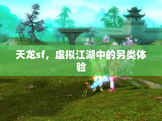天龙sf，虚拟江湖中的另类体验