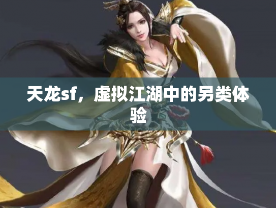 天龙sf，虚拟江湖中的另类体验