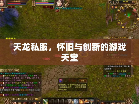 天龙私服，怀旧与创新的游戏天堂
