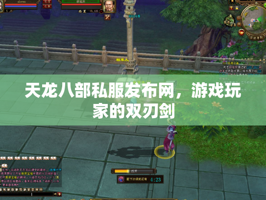 天龙八部私服发布网，游戏玩家的双刃剑