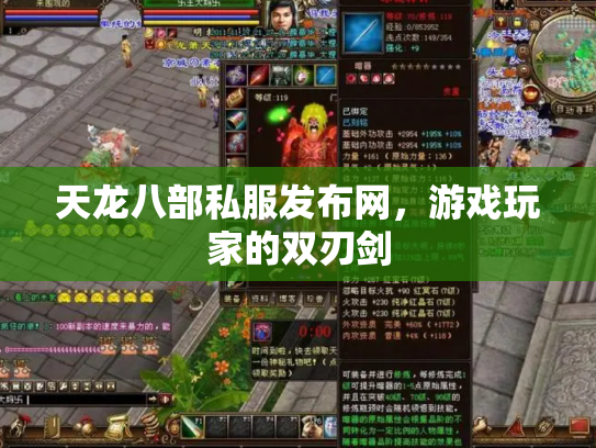 天龙八部私服发布网，游戏玩家的双刃剑