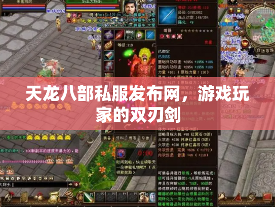 天龙八部私服发布网，游戏玩家的双刃剑