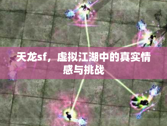 天龙sf，虚拟江湖中的真实情感与挑战