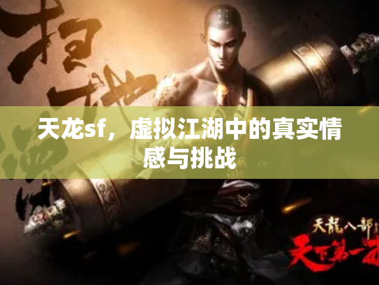 天龙sf，虚拟江湖中的真实情感与挑战