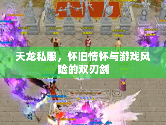 天龙私服，怀旧情怀与游戏风险的双刃剑