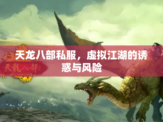 天龙八部私服，虚拟江湖的诱惑与风险