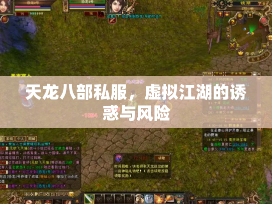 天龙八部私服，虚拟江湖的诱惑与风险
