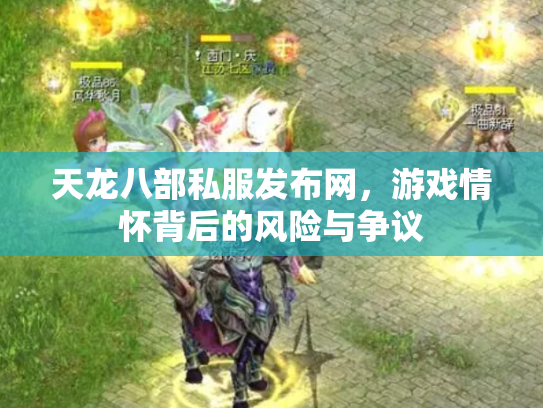 天龙八部私服发布网，游戏情怀背后的风险与争议