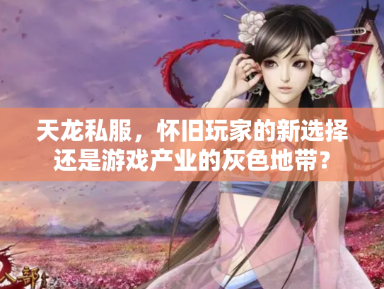 天龙私服，怀旧玩家的新选择还是游戏产业的灰色地带？