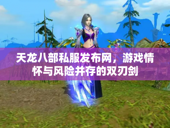 天龙八部私服发布网，游戏情怀与风险并存的双刃剑