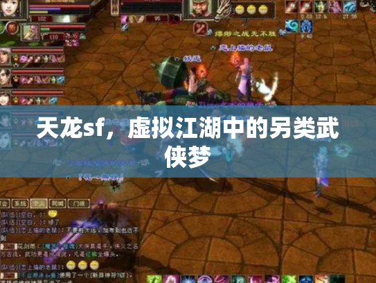 天龙sf，虚拟江湖中的另类武侠梦