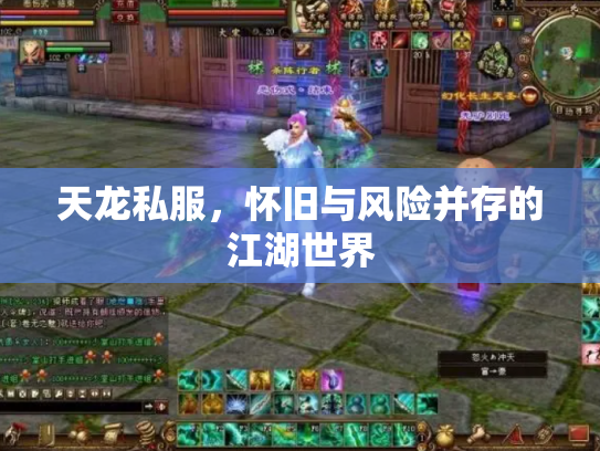 天龙私服，怀旧与风险并存的江湖世界