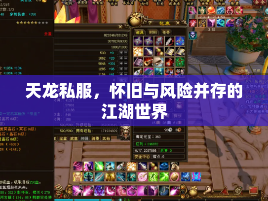天龙私服，怀旧与风险并存的江湖世界
