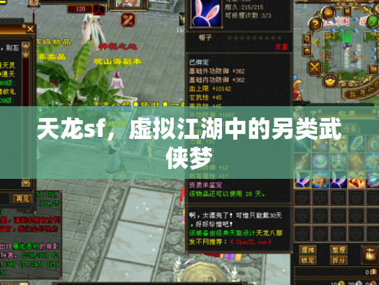天龙sf，虚拟江湖中的另类武侠梦