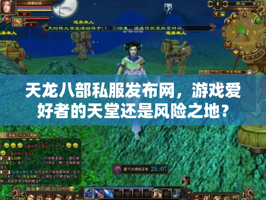天龙八部私服发布网，游戏爱好者的天堂还是风险之地？