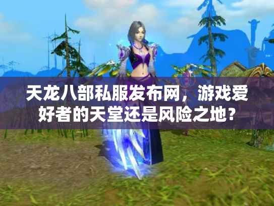 天龙八部私服发布网，游戏爱好者的天堂还是风险之地？