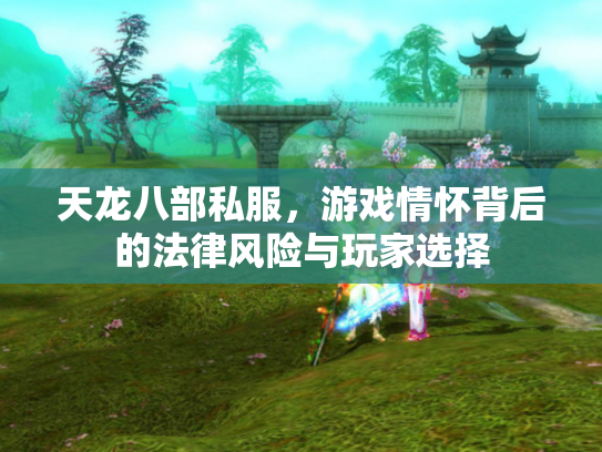 天龙八部私服，游戏情怀背后的法律风险与玩家选择